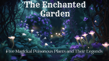 Five magickal poisonous plants