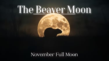 The Beaver Moon (November’s Full Moon)