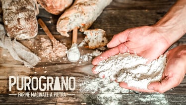 purograno