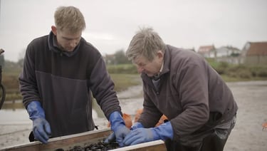 Brancaster oyster co, also producing Mussels