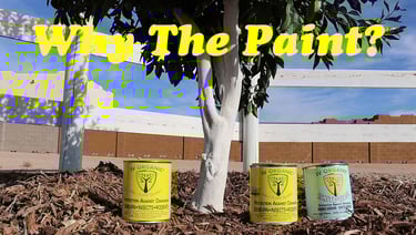 IV Organics - Why Paint Trees