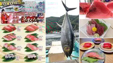大起水産の京まぐろ（伊根湾で水揚げされた本マグロと寿司・刺身の各メニュー）｜堺市のニュースならサカイタイムズ