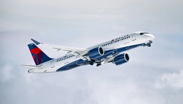 Delta Airlines Plane customer service