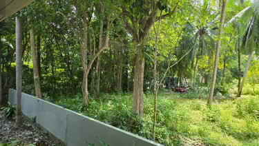 Koh Phangan in Thailandia