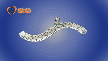 Sc Medical Supply Insumos Medicos Venezuela - EstentGIliac