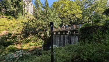 VR Gardens