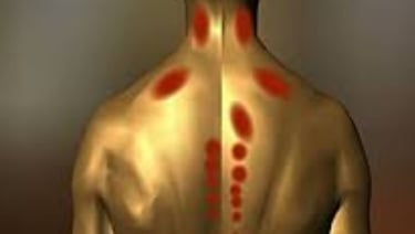 🔥 Brown Fat: Cold Exposure, Fasting & Fighting