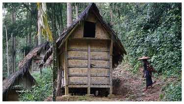 salah satu lumbung padi penduduk baduy