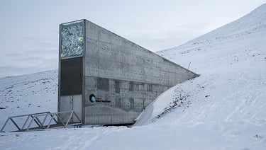 Almacen de semillas