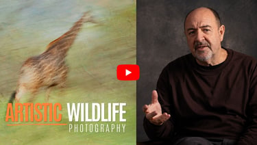 YouTube thumbnail of Martin Osner on the right and a giraffe in motion on the left with text Artistic Wildlife Photography