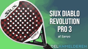 Siux Diablo 3 Pro - Cover