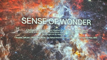 Kristof Timmerman©16mag