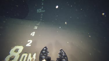 BM consulting ROV location, inspection, survey of shipwreck, Red Sea