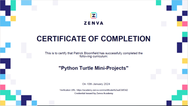 Python Mini Turtle