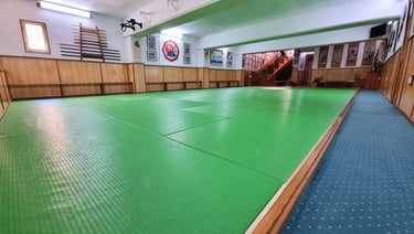 Jiushin Kan | Jiu-Jitsu | Martial Arts | Dojo | Malta