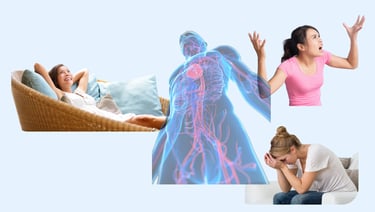 Les états du système nerveux