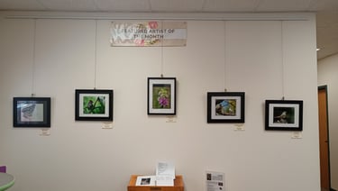 Bandera Library Show 2024