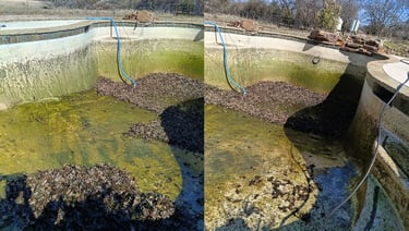 Draining and Leaf Removal