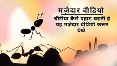 Chinti chadi Pahad par part 1