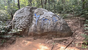 Rock Cut Art- Birds, Purulia
