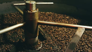 a coffee grinder with a large amount of coffee beans