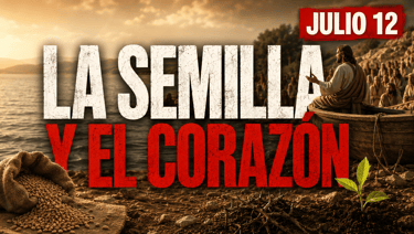 Evangelio de hoy Domingo 12 de Julio de 2026