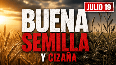 Evangelio de hoy Domingo 19 de Julio de 2026