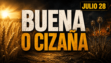 Evangelio de hoy Martes 28 de Julio de 2026