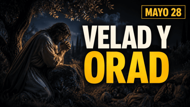 Evangelio de hoy Jueves 28 de mayo de 2026