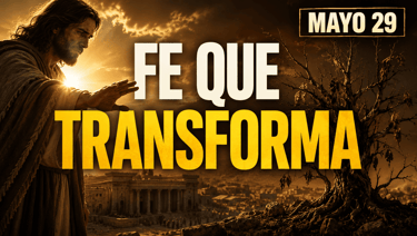 Evangelio de hoy Viernes 29 de mayo de 2026