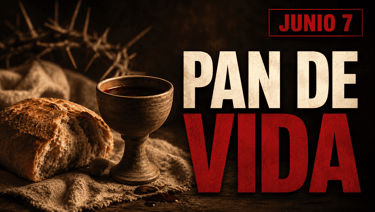 Evangelio de hoy Domingo 7 de Junio de 2026