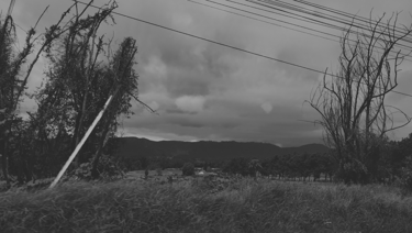 Campo monocromo con árboles secos y montañas bajo un cielo nublado.