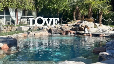 piscina naturale con cascata e rocce vere