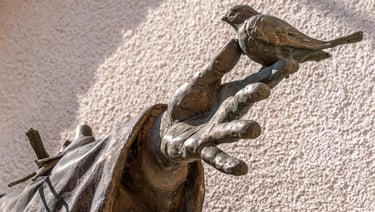 Close-up of Saint Francis’s hand gently holding birds, representing his compassion for all creatures.