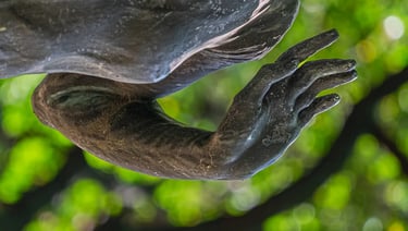 Close-up of the expressive hand, highlighting the elegant gesture of welcoming spring.