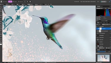 Affinity Photo