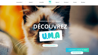 Page d’accueil de l’association Urgence Maltraitance Animale (UMA) avec un chat aux yeux bleus 