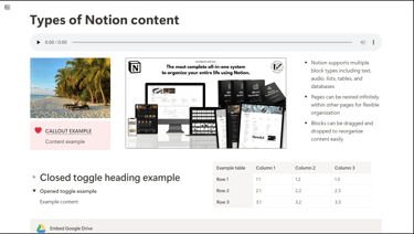 Notion Types of Content
