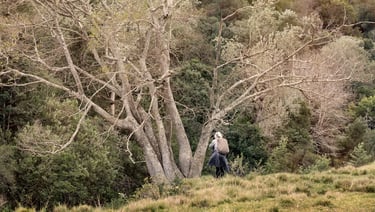 Fine art photography courses teach composition in nature with a lone photographer exploring.
