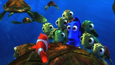 tartarugas nemo