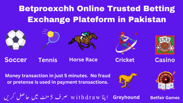 bpexch our services
