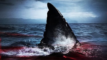 Um tubarão com muito sangue ao redor