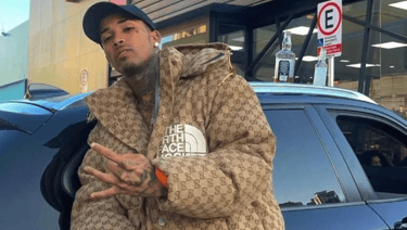 Gato preto encostado em um carro