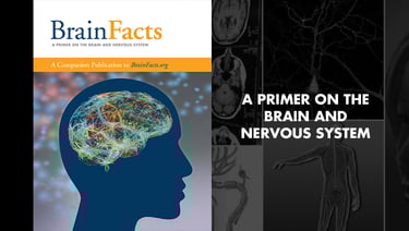 Image of Brain Facts