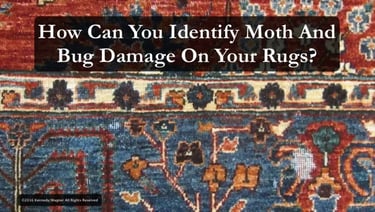 Identify moth damage in rugs
