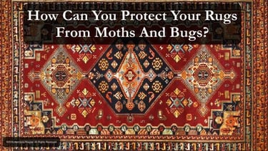 Protect your rug from moth larvae and bugs