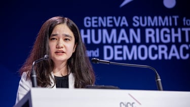 Nila Ibrahimi speaking the Geneva Summit for Human Rights and Democracy. 