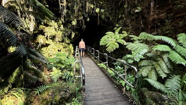 Walking path leading into Thurston Lava Tube surrounded by lush rainforest in Hawaii Volcanoes Natio