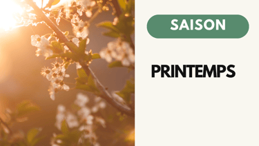 Recette Naturopathie Printemps