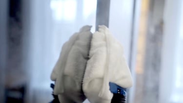 myjka parowa EV Atlantis podczas ekologicznego sprzątania, chroniąca zdrowie domowników i zwierząt bez użycia chemii.